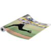 Printable Adhesive-Backed Vinyl