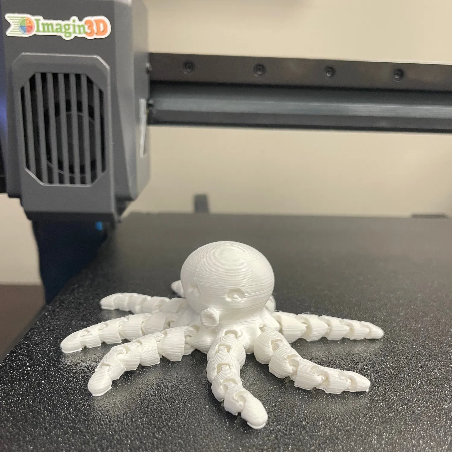 3D printed octopus fidget for SEL