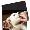 Sublimation Blank Mouse Pad (10 Pack)