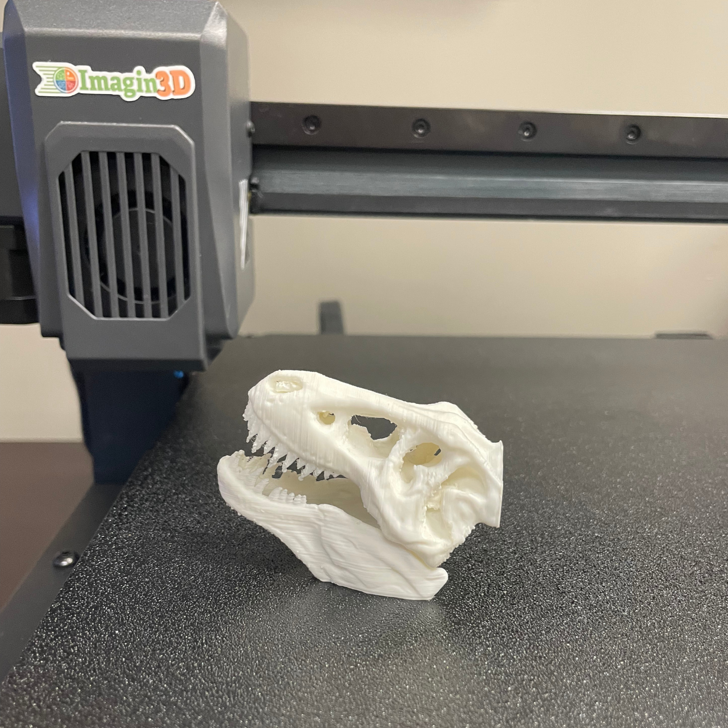 3D Printed Dinosaur Skull for STEM classrooms