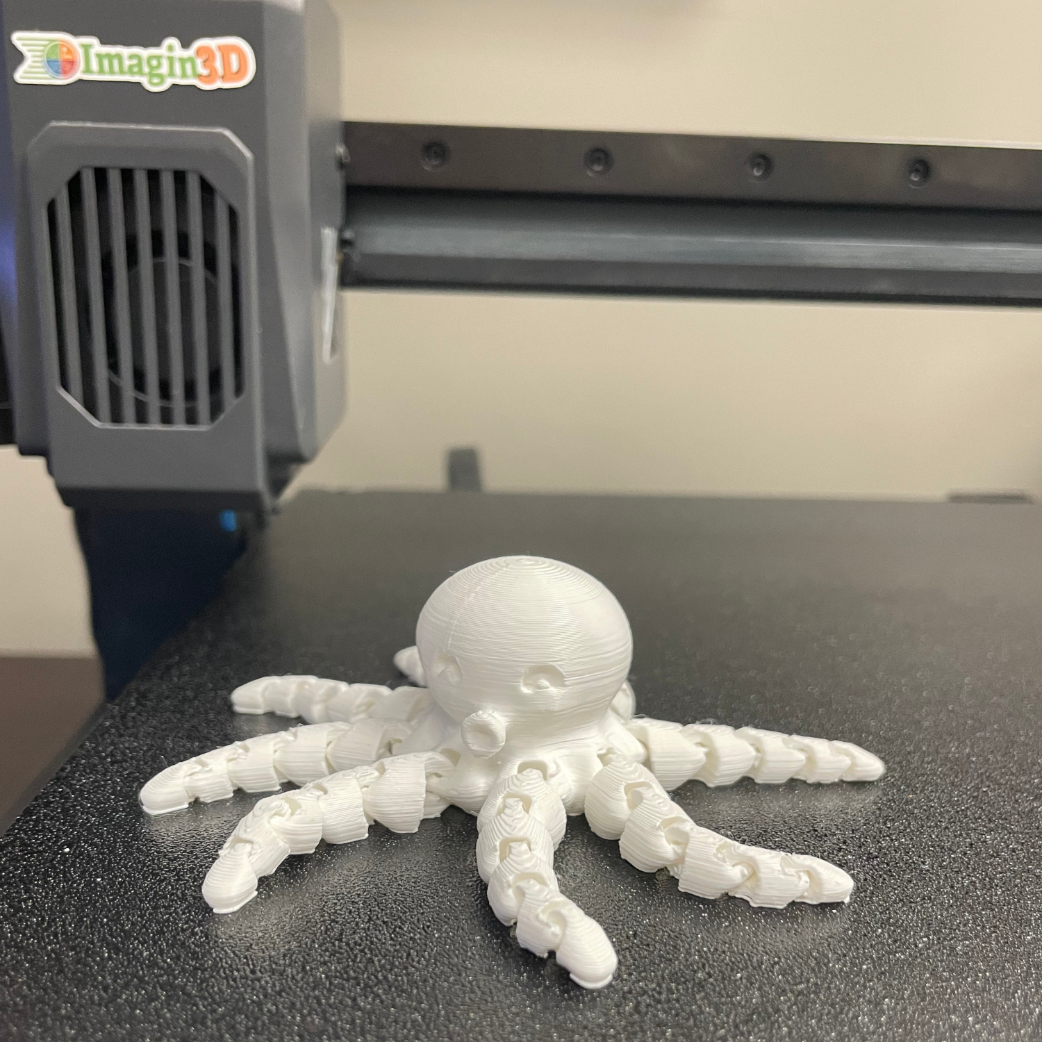 3D printed octopus fidget for SEL
